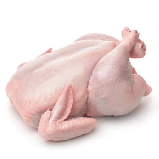 whole chicken broiler